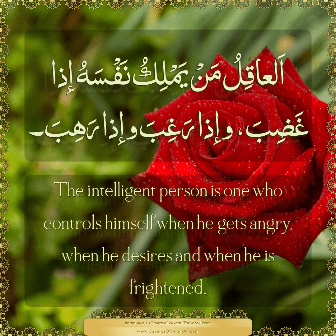 The intelligent person is one who controls himself when he gets angry,...